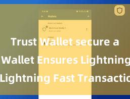 Trust Wallet secure app Trust Wallet Ensures Lightning Fast Transactions