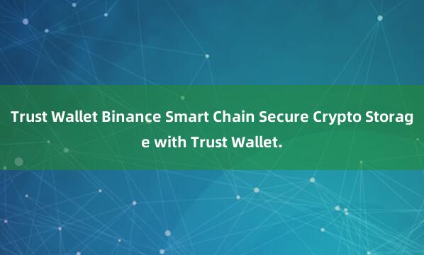 Trust Wallet Binance Smart Chain Secure Crypto Storage with Trust Wallet.